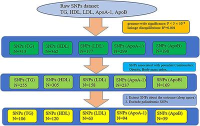 The Causal Effects of Lipid Profiles on Sleep Apnea